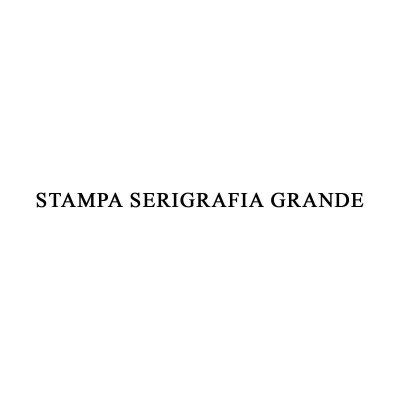 STAMPA SERIGRAFIA GRANDE 20X30